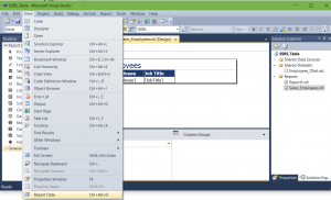 View - Report Data o Ctrl-Alt-D