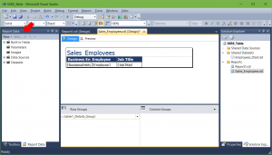 Report Data regresa en SSRS